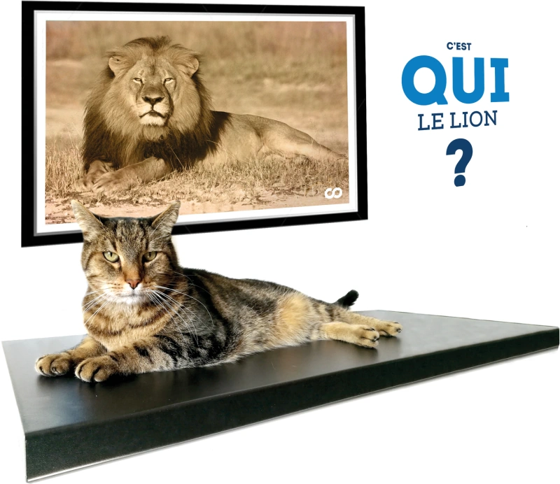 Identité visuelle, communication ponctuelle, développement de vos images sur de nouveaux media