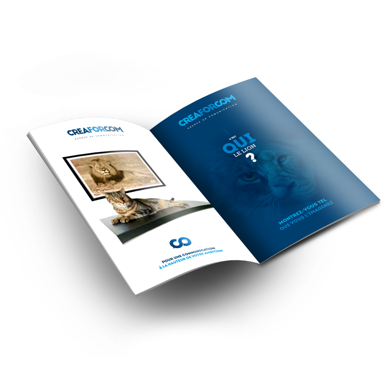 Insertions publicitaires, magazines, brochures, catalogues, livrets