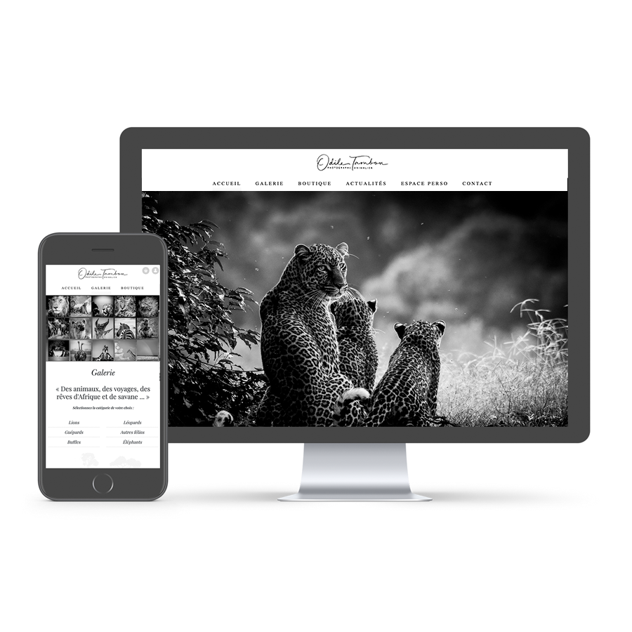 un site vitrine pour présenter votre société